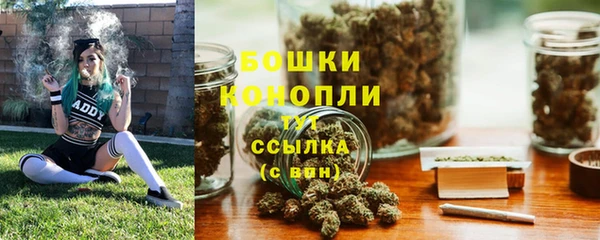 PSILOCYBIN Рославль