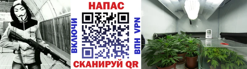 купить наркотик  Новоалександровск  МАРИХУАНА гибрид 